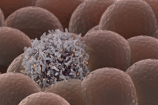 Illustration of a cancer cell among regular cells
